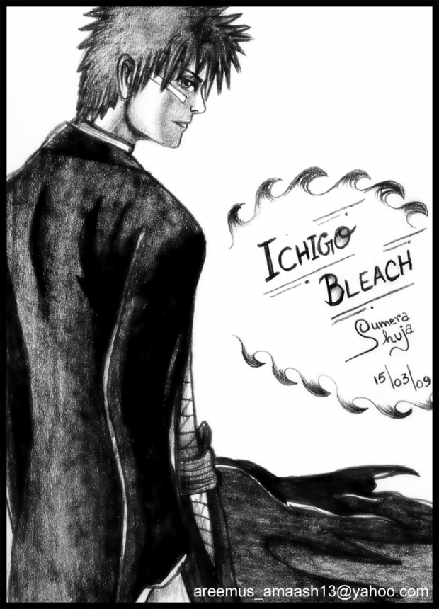 ~Ichigo From Bleach~