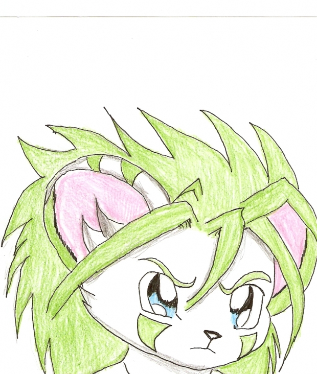 Close up view of  Todji