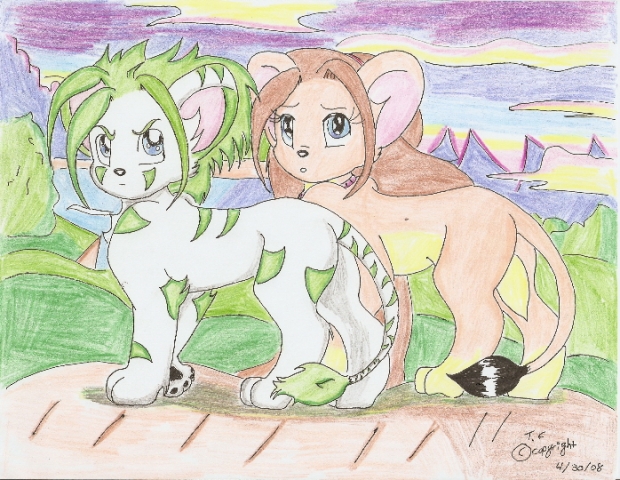 Todji's and Sasumi's last look