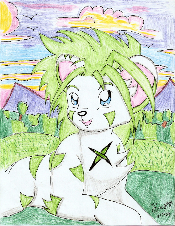 Todji running (close up view)