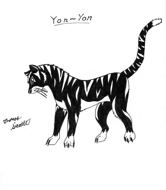 yon-yon