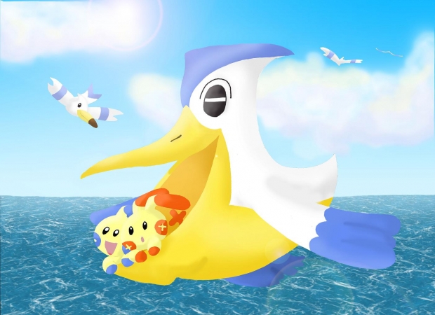 Plusle and Minun first flight