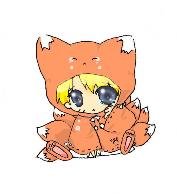 adoption for stray foxy