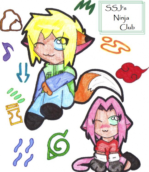 SSJ's Ninja Club Fan Art Banner (Chibi Animals)