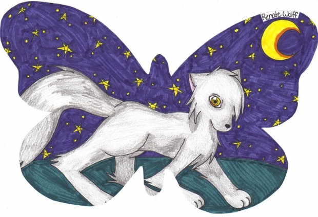 Forget-Me-Not: Renate Wolff