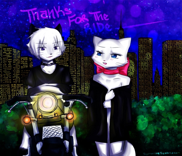 Thanks For The Ride....