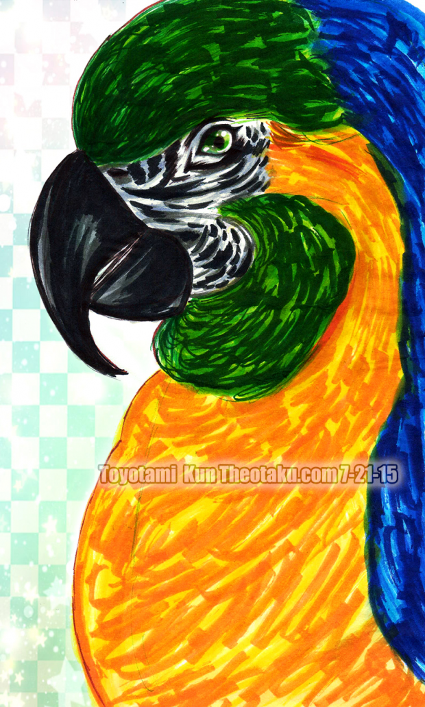 Parrot Portrait.