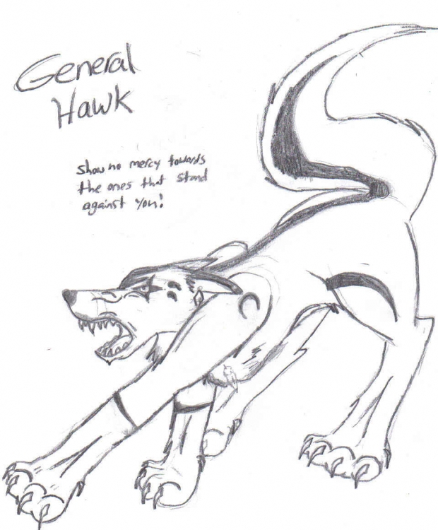 General hawk