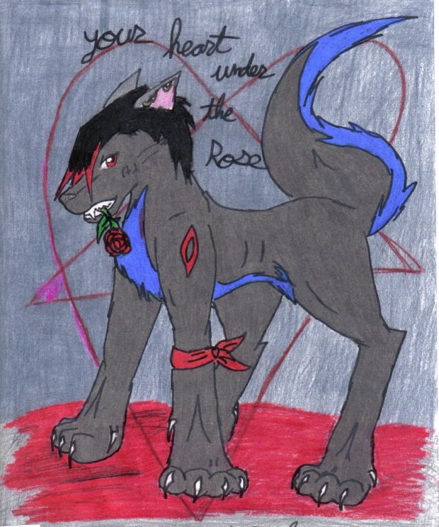 Afraid of the big bad wolf?