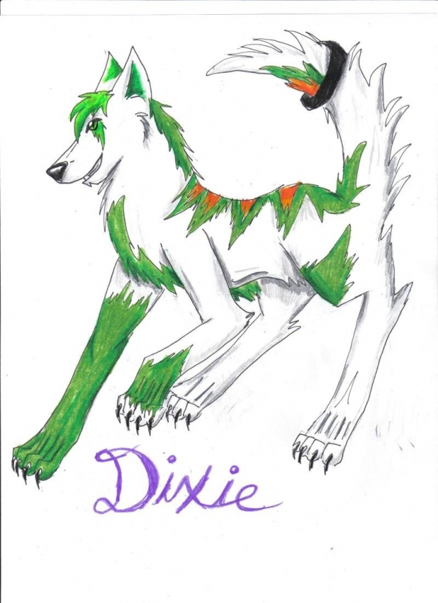 Dixie