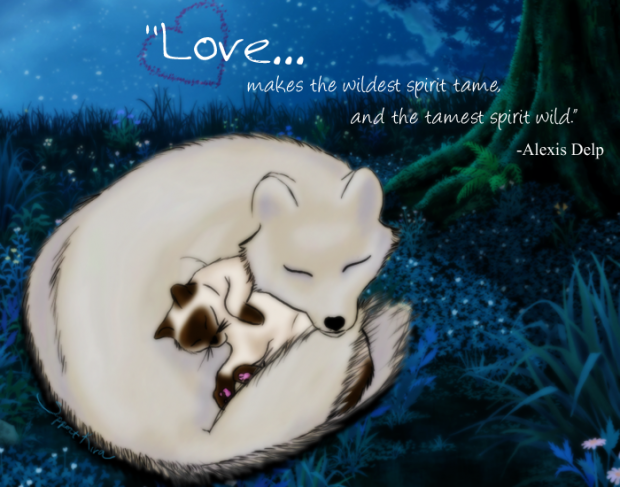 Shut up and Sleep with me