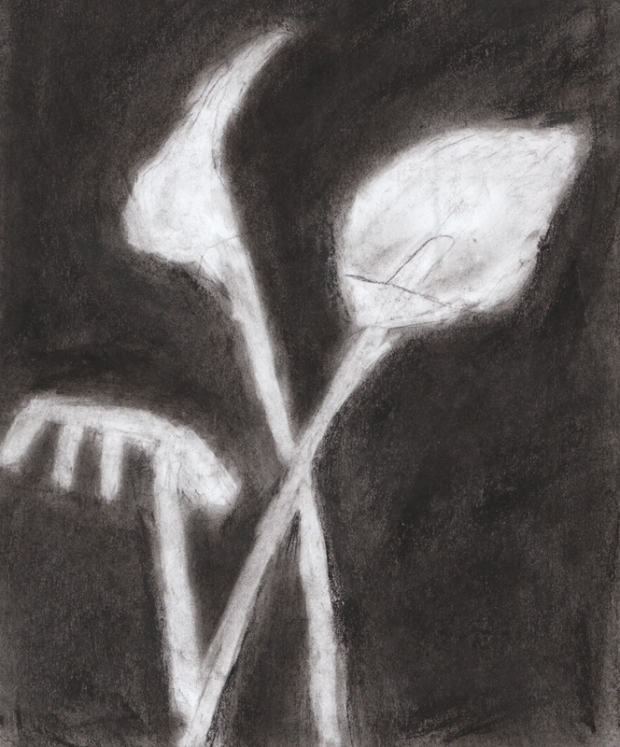 Charcoal Plant Drawing