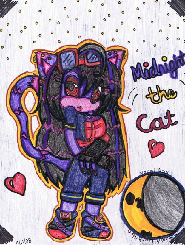 Midnight The Cat