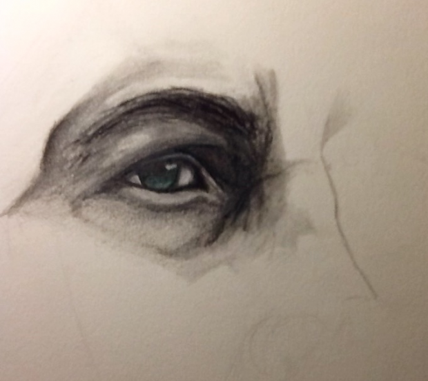Eye of the Lion (Cullen WIP)