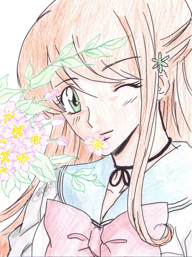 Orihime-cherry blossom