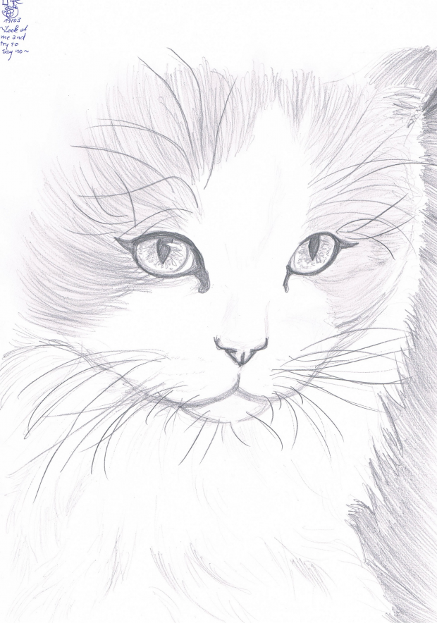 Look at me and try to say no