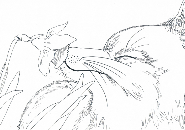 Natures fragrance lineart