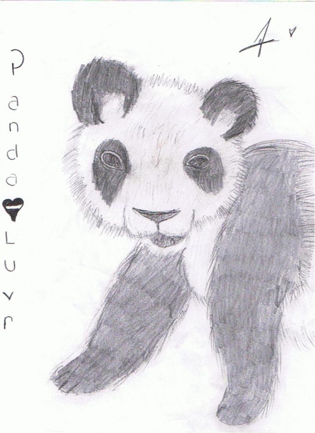 Panda Luvr!