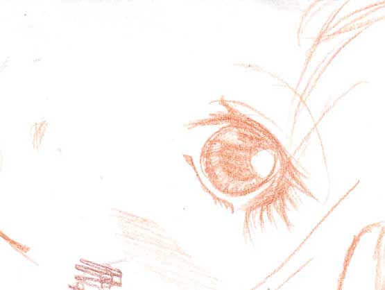 Attempt at Amu's eye