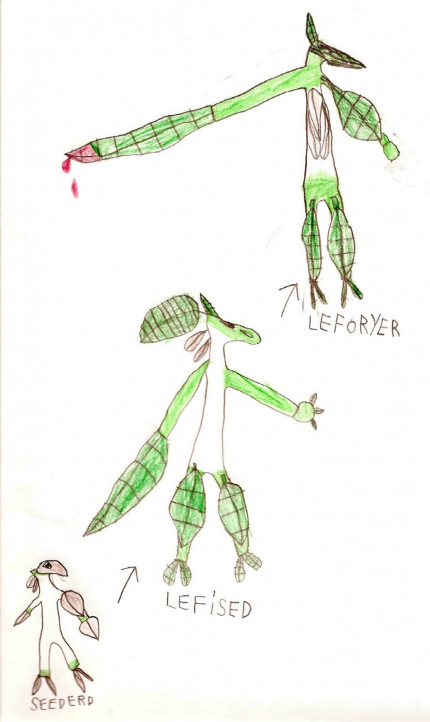 Seedred evolution chain