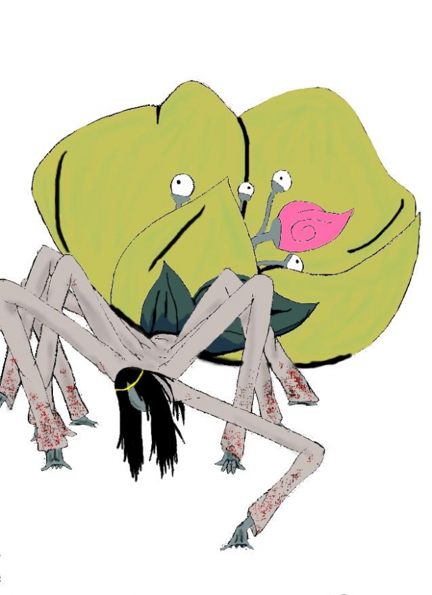 Spider queen: coloured