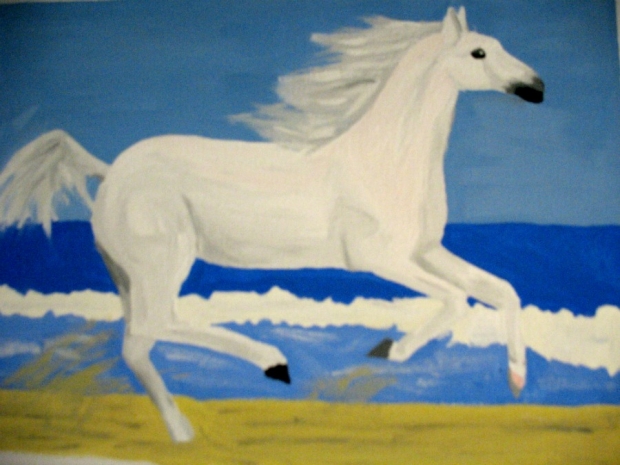 Gracefully Galloping