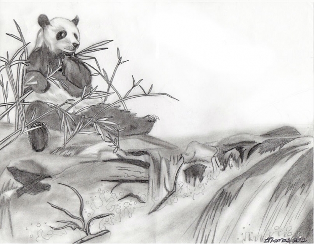 Panda Bear >3