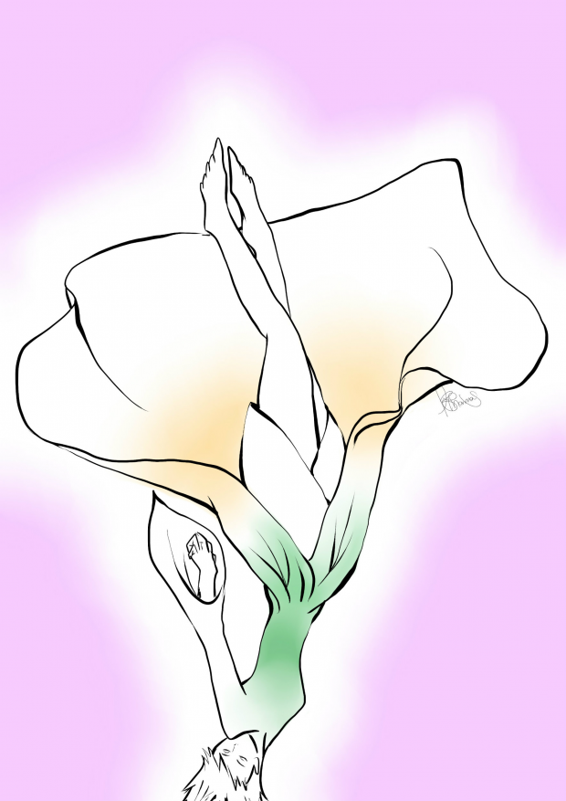 Calla Lily