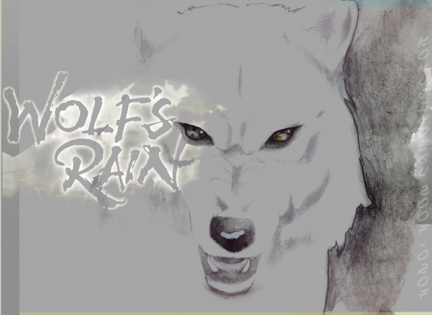 WHITE WOLF