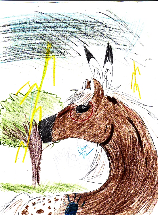 stormy stallion X3