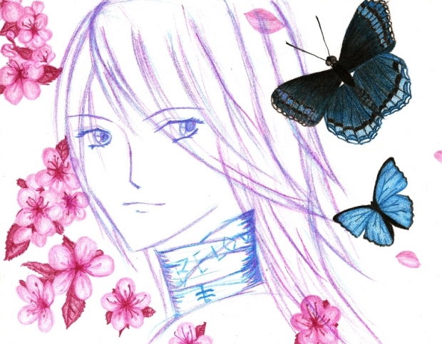 Soubi's Butterflies