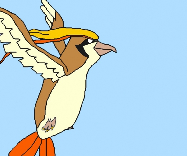 Pidgeot