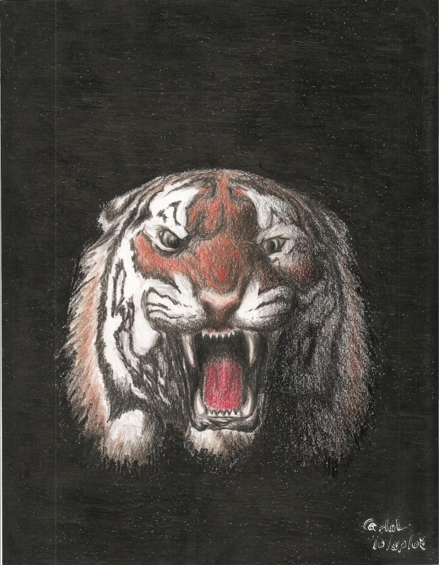 roaring tiger