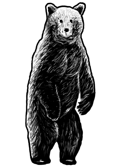 bear for bc tkd website