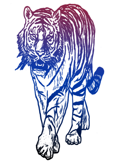 tiger for bc tkd website color
