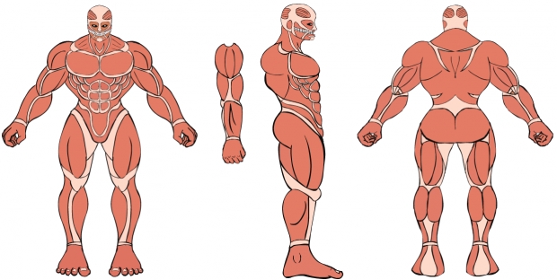 Colossal Titan Character turnaround