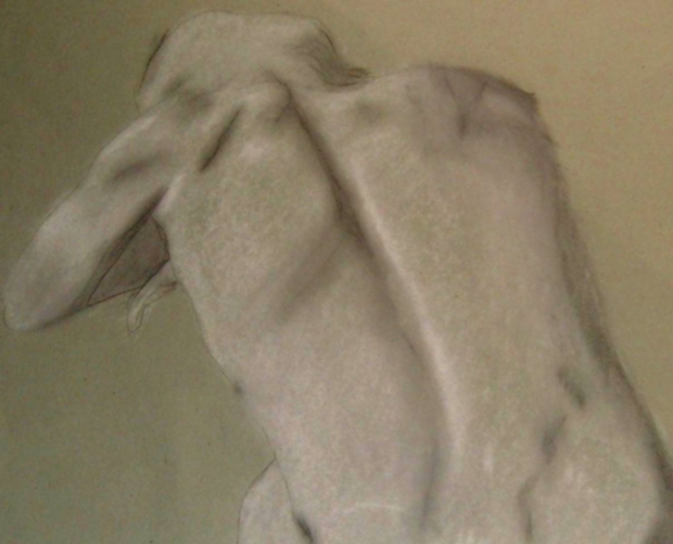 Guy~ Charcol & Chalk