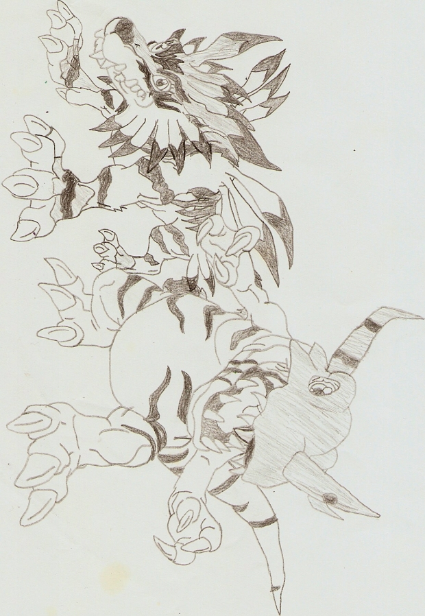 Garurumon & Graymon