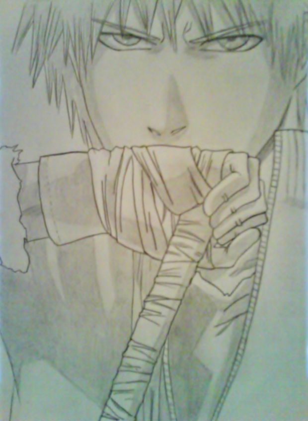 Ichigo...again