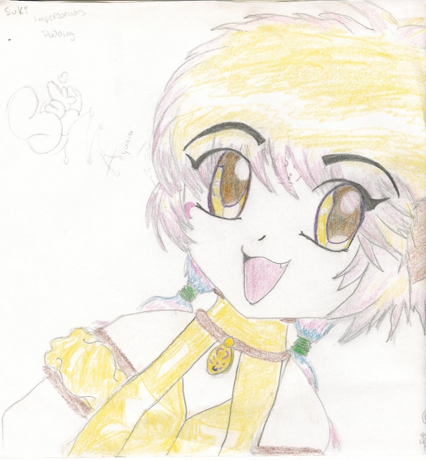 Pudding not the best