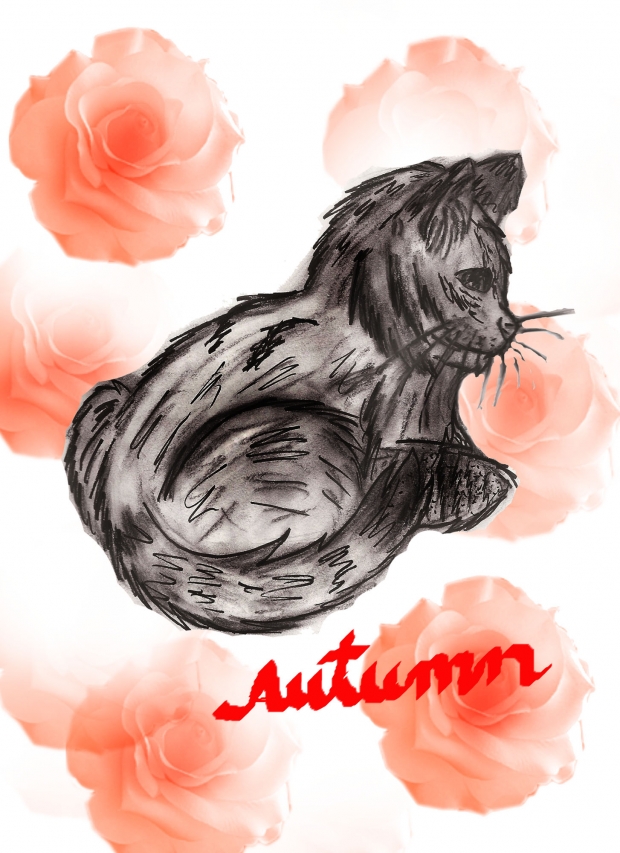 Autumn!!