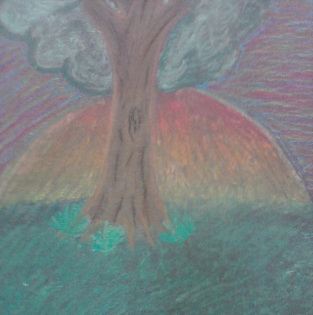 Sunsetting Tree