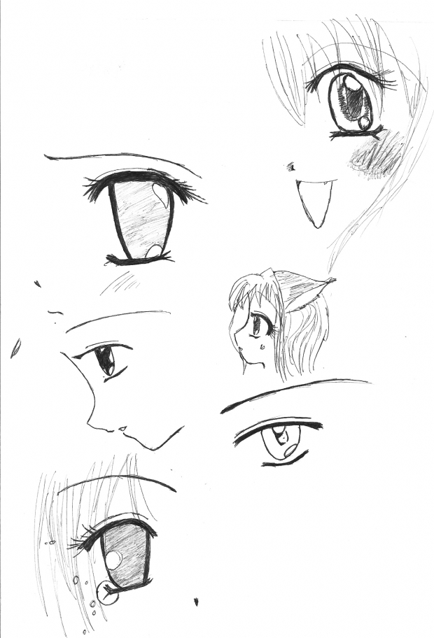 4th grade/5th grade drawings