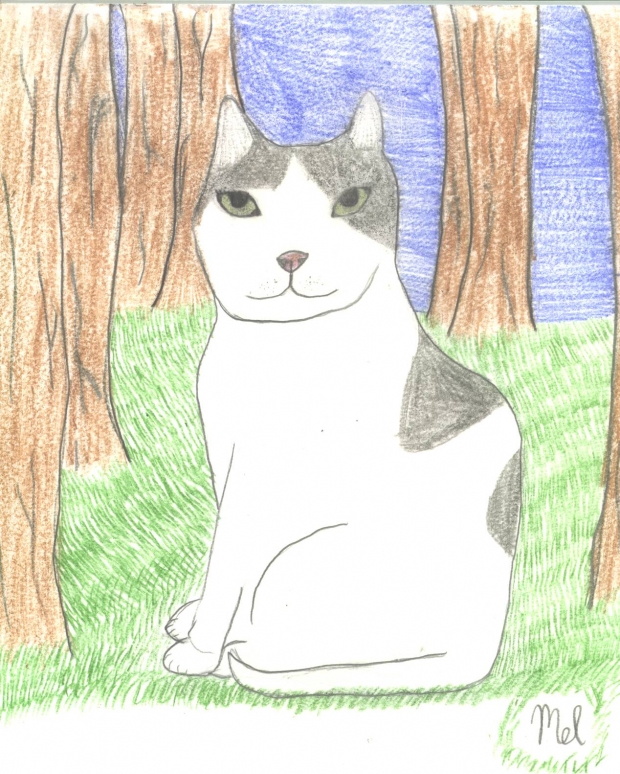 Warriors~Midnightstripe~