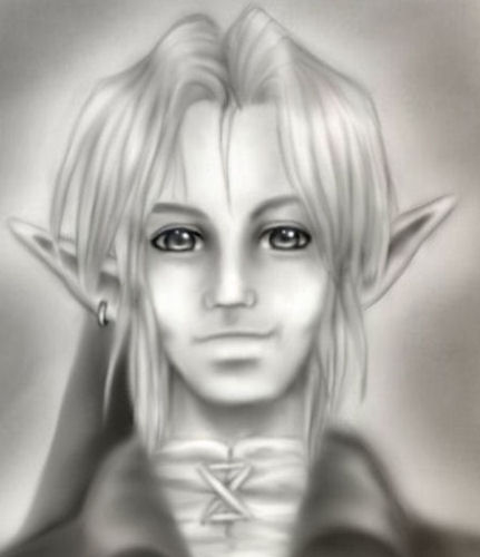 Link Portrait