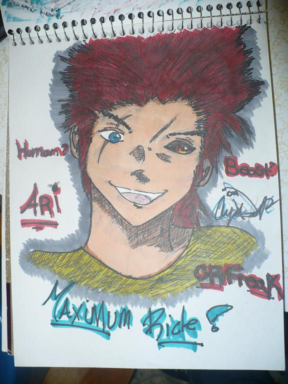 Ari from Maxmimum Ride!