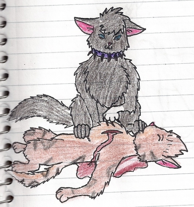 scourge and tigerstar