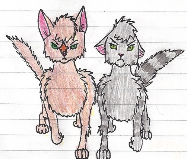 firestar and greystripe walking together