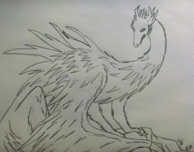 Dragon Sketch