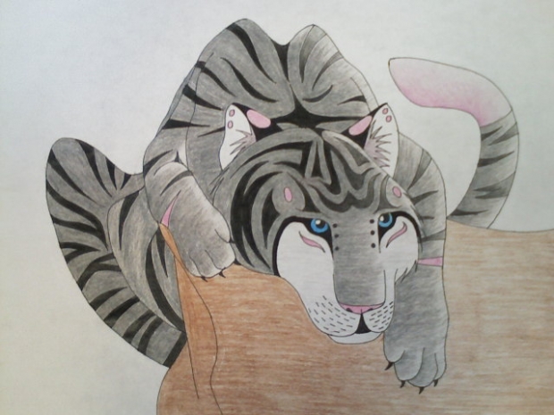 Inka The Tigress